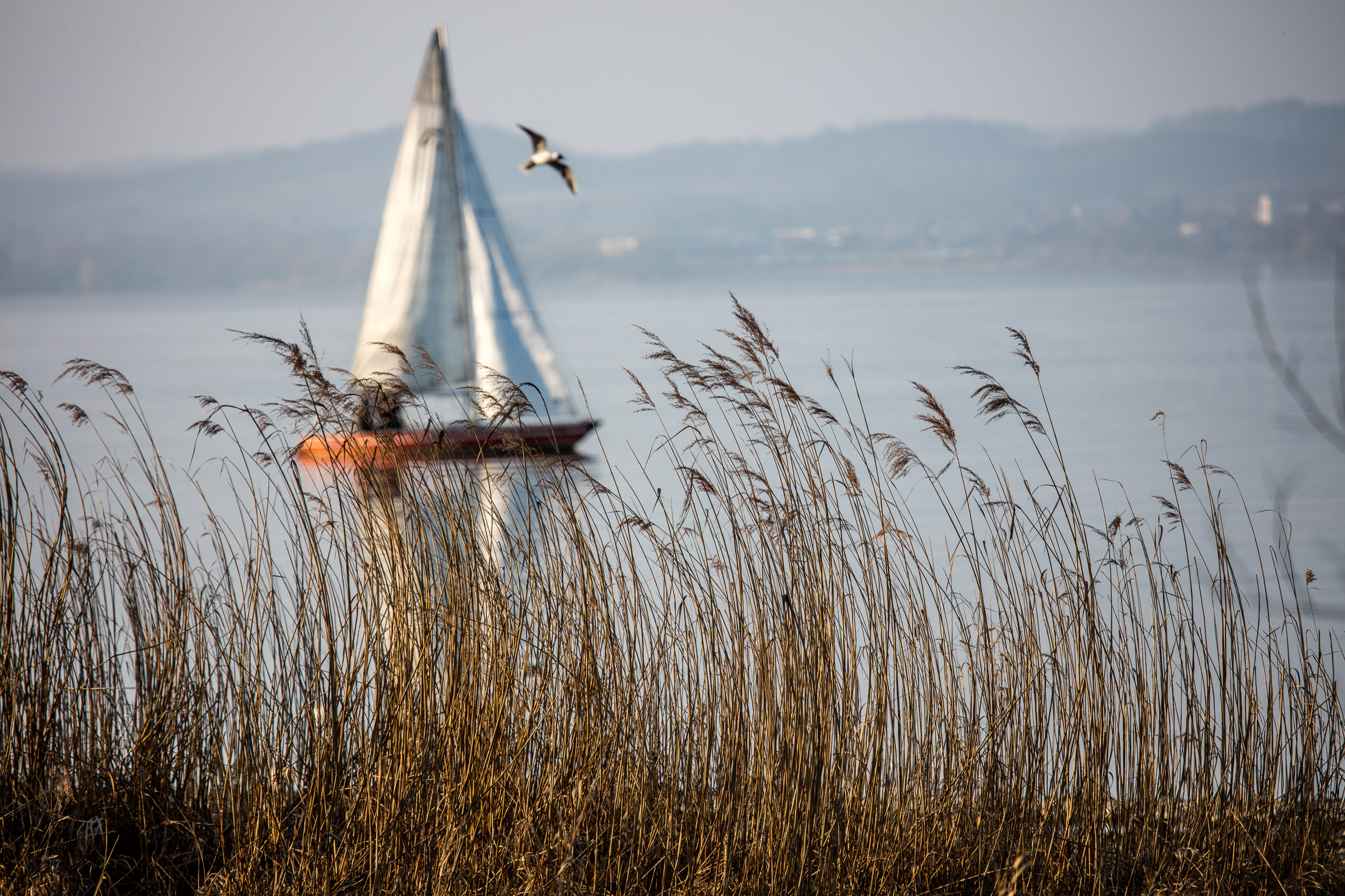 20160319172928 DP017782